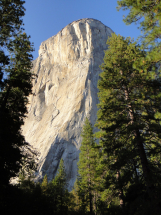 The Nose El Cap
